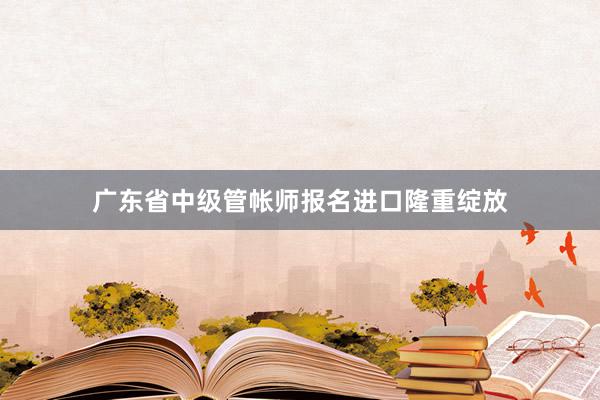 广东省中级管帐师报名进口隆重绽放
