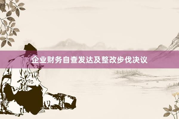 企业财务自查发达及整改步伐决议
